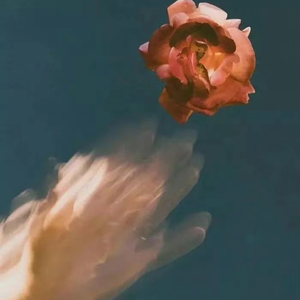 91网站免费在线观站
