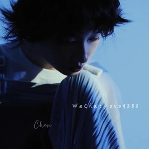 91网站免费在线观站
