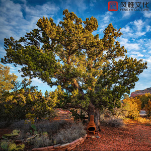 91网站免费在线观站
